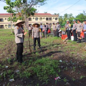 Lombok Utara – Polres Lombok Utara bersama Dinas Pertanian melaksanakan kegiatan pemupukan perdana tanaman jagung dalam Program Asta Cita Ketahanan Pangan. Kegiatan ini dihadiri Kapolres Lombok Utara, AKBP Didik Putra Kuncoro S.I.K. M.Si. bersama, Pejabat Utama, seluruh personil Polres Lombok Utara serta perwakilan dari Dinas Pertanian Kabupaten Lombok Utara.  Kapolres Lombok Utara AKBP Didik Putra Kuncoro S.I.K. M.Si. menyatakan bahwa kegiatan ini adalah langkah nyata dalam mendukung Program Ketahanan Pangan di Lombok Utara. “Kami berkomitmen untuk mendukung penuh Program Presiden Republik Indonesia” ujarnya pada, Sabtu 7 Desember 2024  Sementara itu PL Dinas Pertanian Kabupaten Lombok Utara yang bernama Artadi S.P. memberikan tatacara memberikan pupuk perdana pada tanaman jagung.  Atas arahan dari PL Dinas Pertanian kemudian Kapolres bersama anggota langsung melakukan pemupukan tanaman jagung secara bersama guna mempercepat proses pemupukan.  “Pemupukan tanaman jagung harus dilakukan dengan tepat agar tanaman dapat tumbuh optimal dan menghasilkan panen yang baik, dimana pemupukan pertama sebaiknya dilakukan pada usia 10 hingga 20 hari setelah tanam” Kata Artadi S.P.  “Pemupukan berikutnya dapat dilakukan pada usia 30 dan 45 hari setelah tanam. Ia juga memberikan dosis yang digunakan 1 genggam pupuk untuk 3 batang tanaman jagung” imbuhnya  Meskipun menghadapi beberapa tantangan seperti cuaca dan keterbatasan sumber daya, kegiatan ini tetap berjalan dengan baik berkat kerjasama yang solid antara Polres Lombok Utara bersama Dinas Pertanian. Tutup Kapolres