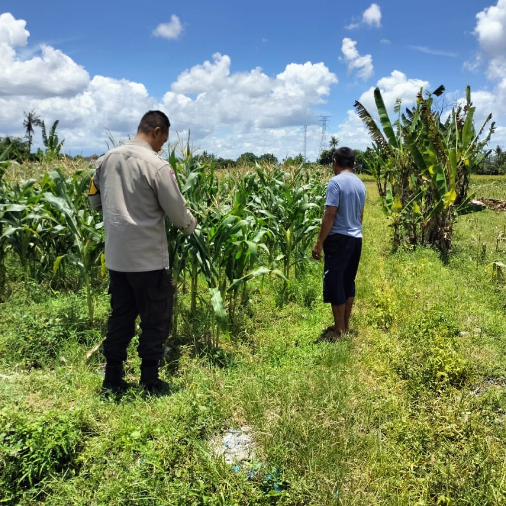 Bhabinkamtibmas Ajak Petani Labuapi Manfaatkan Lahan Kosong
