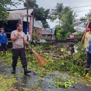 Sebuah Dahan Pohon Tumbang Timpa Bangunan dan Warga