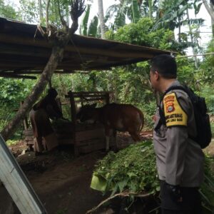 Bhabinkamtibmas di Batulayar Dorong Warga Manfaatkan Pekarangan untuk Ketahanan Pangan
