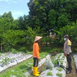 Bhabinkamtibmas Ajak Warga Jagaraga Mandiri Pangan