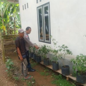 Sinergi Bhabinkamtibmas dan Warga Dukung Ketahanan Pangan di Lombok Barat