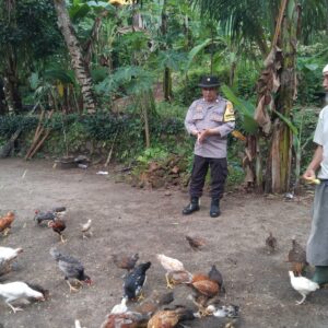 Dekat dengan Warga, Polisi Dorong Pemanfaatan Lahan Pekarangan di Batulayar