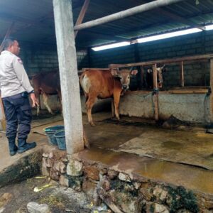 Bhabinkamtibmas Karang Bongkot Bantu Warga Kembangkan Peternakan