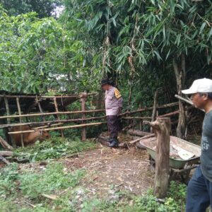Polisi di Lombok Barat Aktif Dukung Ketahanan Pangan Warga