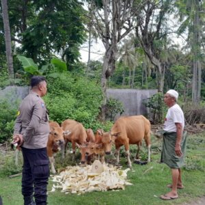 Polri Aktif Dukung Ketahanan Pangan Lombok Barat: Edukasi Pertanian untuk Warga