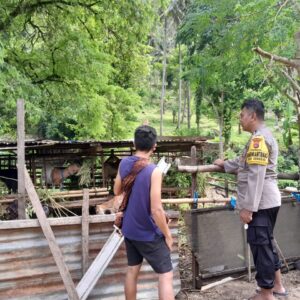 Sentuhan Bhabinkamtibmas: Petani Lombok Barat Berdaya!