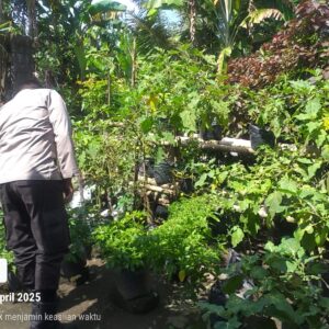 Polsek Kuripan Dukung Ketahanan Pangan Warga Desa Jagaraga