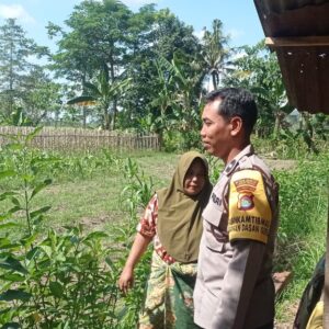 Bhabinkamtibmas Dasan Geres Dukung Ketahanan Pangan Lewat Program Pekarangan Bergizi