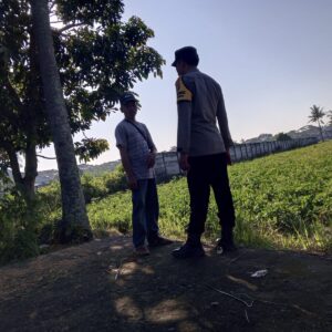 Ketahanan Pangan Desa Kuripan: Sinergi Polri dan Warga