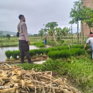 Bhabinkamtibmas Lelede Dukung Ketahanan Pangan di Lombok Barat