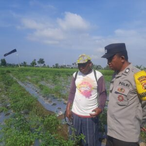Bhabinkamtibmas Montong Are Aktif Dorong Swasembada Pangan di Kediri, Lombok Barat