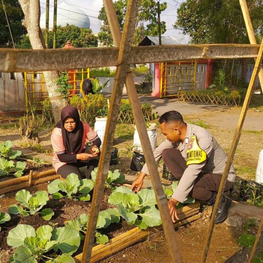 Sinergi Polri dan KWT Pemangket Wujudkan Ketahanan Pangan di Kuripan Utara