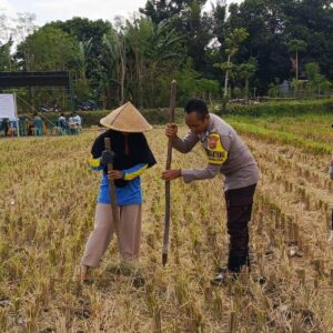 Polsek Kuripan Dukung Petani Jagung Kuripan Utara Tingkatkan Ketahanan Pangan