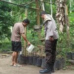 Bhabinkamtibmas Batulayar Dorong Kemandirian Pangan Lewat Pekarangan Bergizi