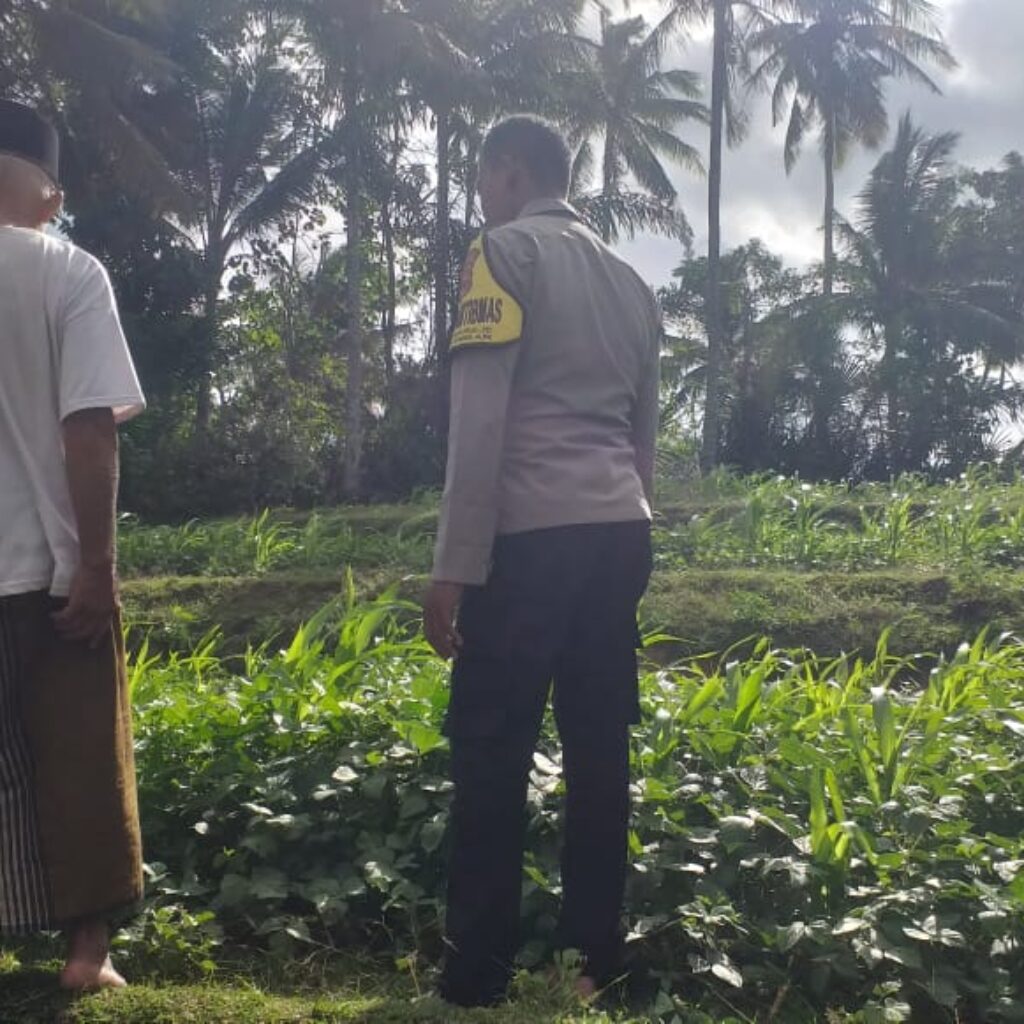 Pemanfaatan Pekarangan untuk Ketahanan Pangan di Dusun Pelan