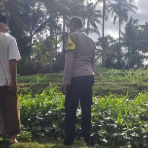 Pemanfaatan Pekarangan untuk Ketahanan Pangan di Dusun Pelan