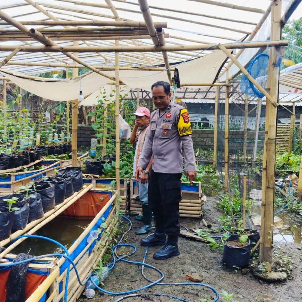 Warga Dusun Tempit Diajak Tanam Sayur di Pekarangan, Dukung Ketahanan Pangan Nasional