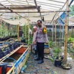 Warga Dusun Tempit Diajak Tanam Sayur di Pekarangan, Dukung Ketahanan Pangan Nasional