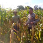 Ketahanan Pangan Dimulai dari Desa: Bhabinkamtibmas Jagaraga Dorong Pemanfaatan Lahan di Tambang Eleh
