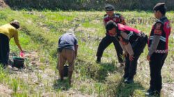 Polres Lombok Barat Dukung Ketahanan Pangan Lewat Patroli Humanis di Desa Kuripan