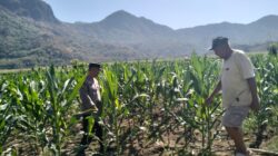 Upaya mendukung asta cita program Prioritas Nasional Pemerintah Polres Sumbawa Barat Melalui Jajaran Bhabinkamtibmas melaksanakan kegiatan pendampingan