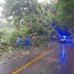 Pohon Tumbang Tutup Jalan di Desa Luk, Personel Polsek Rhee Sigap Evakuasi dan Atur Lalu Lintas